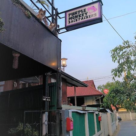 Hostel Purple Monkey Backpackers Chiang Mai Zewnętrze zdjęcie