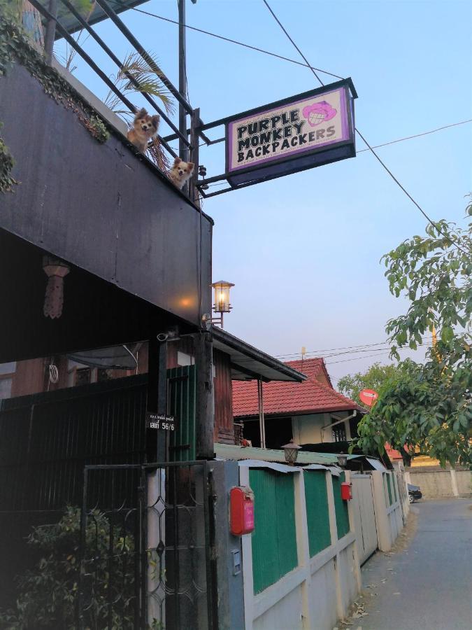 Hostel Purple Monkey Backpackers Chiang Mai Zewnętrze zdjęcie